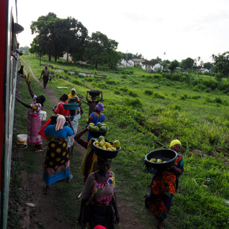 Premier goût à la tanzanienne !