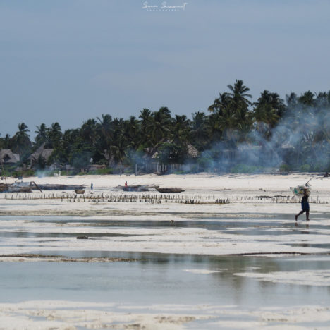 Zanzibar: le sud de l’île