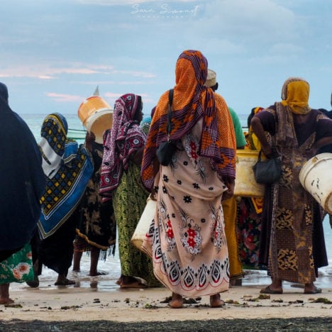 Zanzibar: Jambiani et sa région