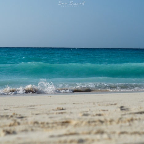 Zanzibar: le sud de l’île