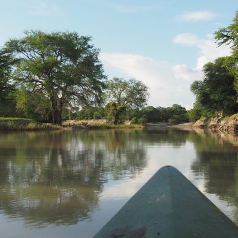 Botswana: notre arrivée et premiers pas