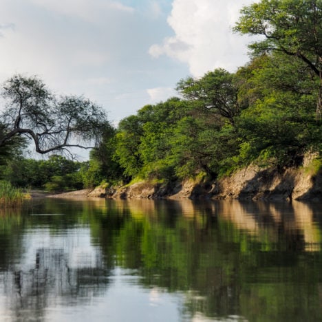 Botswana: Maun et le delta d’Okavango