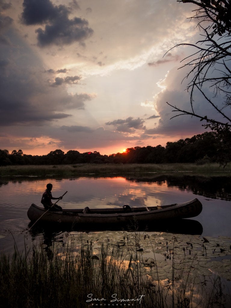 Homme dans un Canöé au couché de soleil à Maun, Botswana