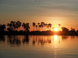 Couché de soleil sur le delta d'Okavango